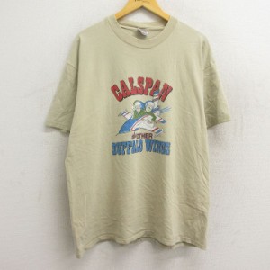 古着 ヘインズ Hanes 半袖 ビンテージ Tシャツ メンズ 00年代 00s カルスパン 飛行機 バッファロー コットン クルーネック ベ 中古 古着