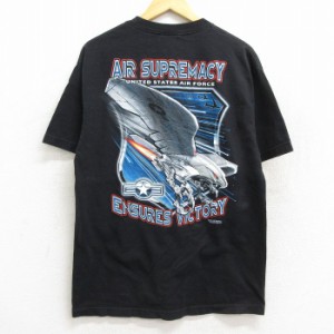 古着 半袖 ビンテージ Tシャツ メンズ 00年代 00s ミリタリー 鳥 USAF 戦闘機 コットン クルーネック 黒 ブラック Lサイズ 中 中古 古着