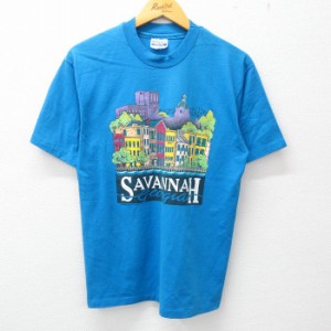 古着 ヘインズ Hanes 半袖 ビンテージ Tシャツ メンズ 80年代 80s サバンナ 建物 クルーネック USA製 水色 Lサイズ 中古 中古 古着