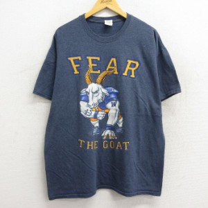 古着 半袖 ビンテージ Tシャツ メンズ 00年代 00s ヤギ FEAR 大きいサイズ クルーネック 紺系 ネイビー 霜降り spe XLサイズ  中古 古着