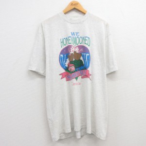 古着 半袖 ビンテージ Tシャツ メンズ 90年代 90s クマ ナイアガラの滝 クルーネック 薄グレー 霜降り XLサイズ 中古 中古 古着