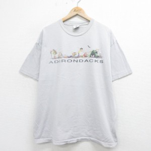 古着 半袖 ビンテージ Tシャツ メンズ 00年代 00s アディロンダック シカ 大きいサイズ クルーネック グレー XLサイズ 中古 中古 古着