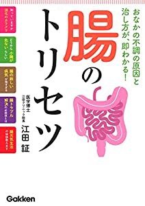 本当にわかる現代思想(中古品)