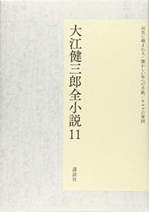 大江健三郎全小説 第11巻 (大江健三郎 全小説)(中古品)