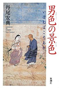 男色(なんしょく)の景色―いはねばこそあれ(中古品)