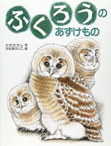 完全図解 介護リスクマネジメント 事故防止編 (介護ライブラリー)(未使用の新古品)