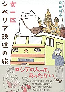 新装版 梅干し 漬け物 保存食(未使用の新古品)