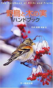 零戦隊長―二〇四空飛行隊長宮野善治郎の生涯(未使用の新古品)