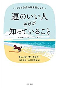 Callbee プロ野球チップスカード図鑑 横浜DeNAベイスターズ(未使用の新古品)