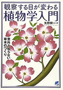 新・帯結び・飾り結び204―あなたに似合う帯結びが必ず見つかる! (TODAYムック)(中古品)