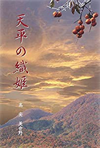 DVD・Blu-ray コピーソフト総入れ替え 2012年度最新版 (100%ムックシリーズ)(中古品)