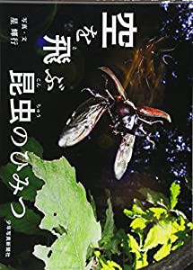 ボディ・ランゲージ (CCCD)(未使用の新古品)