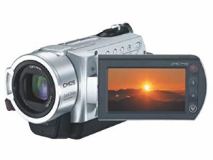 ソニー SONY Handycam デジタルビデオカメラレコーダー(40GB) DCR-SR300(中古品)