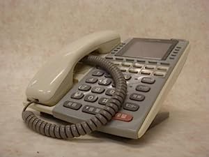 VB-D411L パナソニック大型表示デジタル多機能電話機 ビジネスフォン [オフ(中古品)