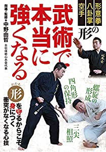 形意拳、八卦掌、空手【武術で本当に強くなる】絶対的な強さの身につけ方 [DVD](中古品)