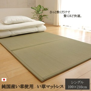 折りたたみ マットレスい草マットレス シングル100×210cm〔代引不可〕