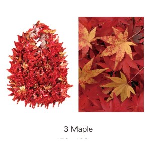 ＨＡＭ−１５絞りバッグ　Ｍａｐｌｅ〔代引不可〕