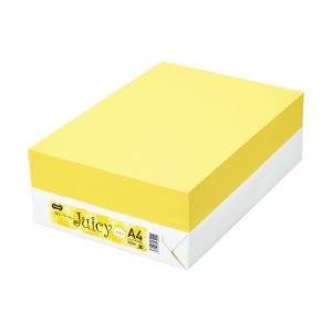 TANOSEE カラーペーパー Juicy パイン A4 500枚 〔×10セット〕〔代引不可〕