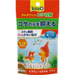 （まとめ） テトラフィン コケ対策 60g （ペット用品） 〔×15セット〕〔代引不可〕