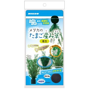 （まとめ）メダカのたまご産み草 ミニ〔×5セット〕 (観賞魚/水槽用品)〔代引不可〕