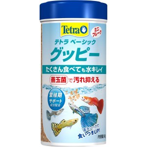 （まとめ）テトラ ベーシック グッピー 60g 熱帯魚用フード 〔×5セット〕〔代引不可〕