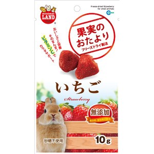 （まとめ）マルカン 果実のおたより いちご 10g 小動物用おやつ 〔×5セット〕〔代引不可〕