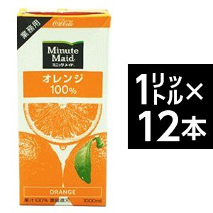 コカ・コーラ　（コカコーラ） ミニッツメイド オレンジ 100%　1L紙パック×12(6×2)本入〔代引不可〕