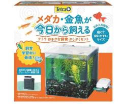 めだか飼育セット14点 めだか）黒メダカ飼育セット（飼育容器 小 緑（225×150