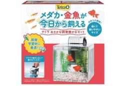 熱帯魚）ベタ飼育セット ガラス水槽 トラディショナル 青系 お一人様5