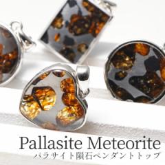 パラサイト隕石 ペンダント メテオライト ペンダントトップ Pallasite Meteorite ランダム発送 送料無料 [M便 1/20]