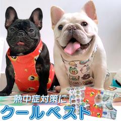 保温球＆サーモセット マルカン 保温電球 40W カバー付き＋ミニマル