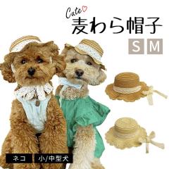 �y�b�g�p�X�q �����X�q �t �� �X�q �A�N�Z�T���[ �� ���p �t���u�� ���悯 �y�� �x�[�W�� �u���E�� ���{�� �K�[���[ ������� �n�b�g