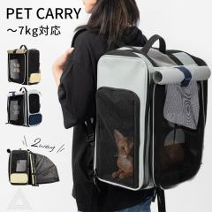 �y�b�g�����b�N �L�����[�o�b�O �l�R �� �����b�N �y�b�g�L�����[�o�b�O �V���v�� ������� �� ���^�� �L �l�R �˂� �L�����[�P�[�X