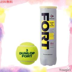 ダンロップ(DUNLOP) 硬式 テニスボール フォート プレッシャーライズド