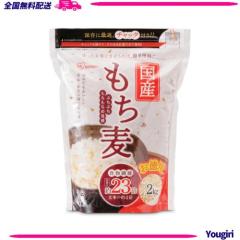 パナソニック(Panasonic) ホームベーカリー パン焼き器 餅つき機