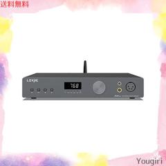 LOXJIE D40 PRO DAコンバーター ＆ ヘッドホンアンプ 一体型 フラッグ