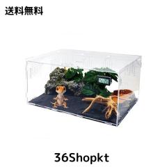 Niesporek 爬虫類 トカゲ ケージ カナヘビ飼育ケース レプタイル