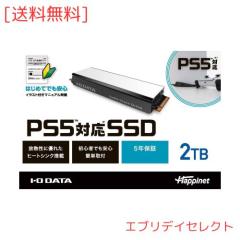 PS5対応 M.2 拡張SSD ヒートシンク付 2TB(型番:HNSSD-2P5A)の通販はau