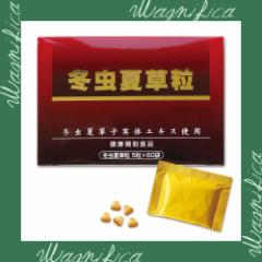 【免活応援サプリ】松浦薬業 冬虫夏草粒(とうちゅうかそうりゅう)60袋 20~30日分[負けない、カラダづくりに! 免活力 人工培養 サナギタケ