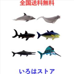 水槽のクジラ CD６枚セット 新品入荷 水槽のクジラ CD6枚セット 邦楽 - 邦楽