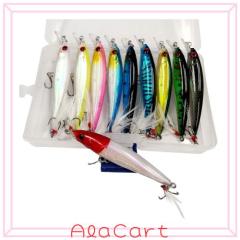 Amazon.co.jp限定】Abu Garcia(アブガルシア) SALTYFIELD ソルティー