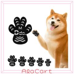 Sonorphine 人工授精キット 大中小型犬用 繁殖キット 犬授精ツール