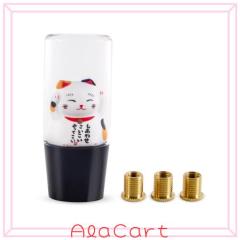 金庫 小型 [ 耐火 耐水/充電ケーブル付き] Diyife 電子式 金庫 家庭用