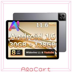 Zi:tab R23Z002J タブレット Android タブレット11.97インチ wi-fi