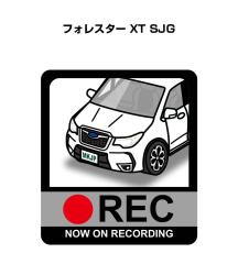 MKJP �h�����R�X�e�b�J�[ 2������ �X�o�� �t�H���X�^�[ XT SJG ��������