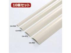 TTvC y10ZbgzTTvC P[uJo[(AC{[) CA-R70X10