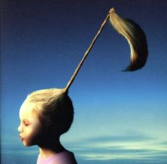 �y���Áz ��̖�������āi���񐶎Y����Łj�^�`�������@�s��������