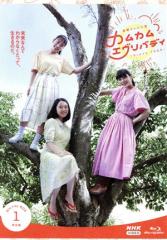 バイプレイヤーズ シリーズ DVD BOX 3巻 [DVDセット]の通販はau PAY 