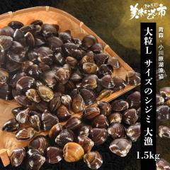 XE쌴΋ 嗱L TCỸVW~ 務 1.5kg/ƂꂽāI̎s