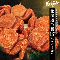 �ъI1.7kg�l�ߍ��킹�i�{�C���j/�Ƃꂽ�āI���������̎s